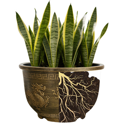Solum Vitae 17-in 45# Terra-D Round Textured Patio Planters Snake Plant Roots and Soil for Clean Shots,Premium Outdoor Planters for Gardening