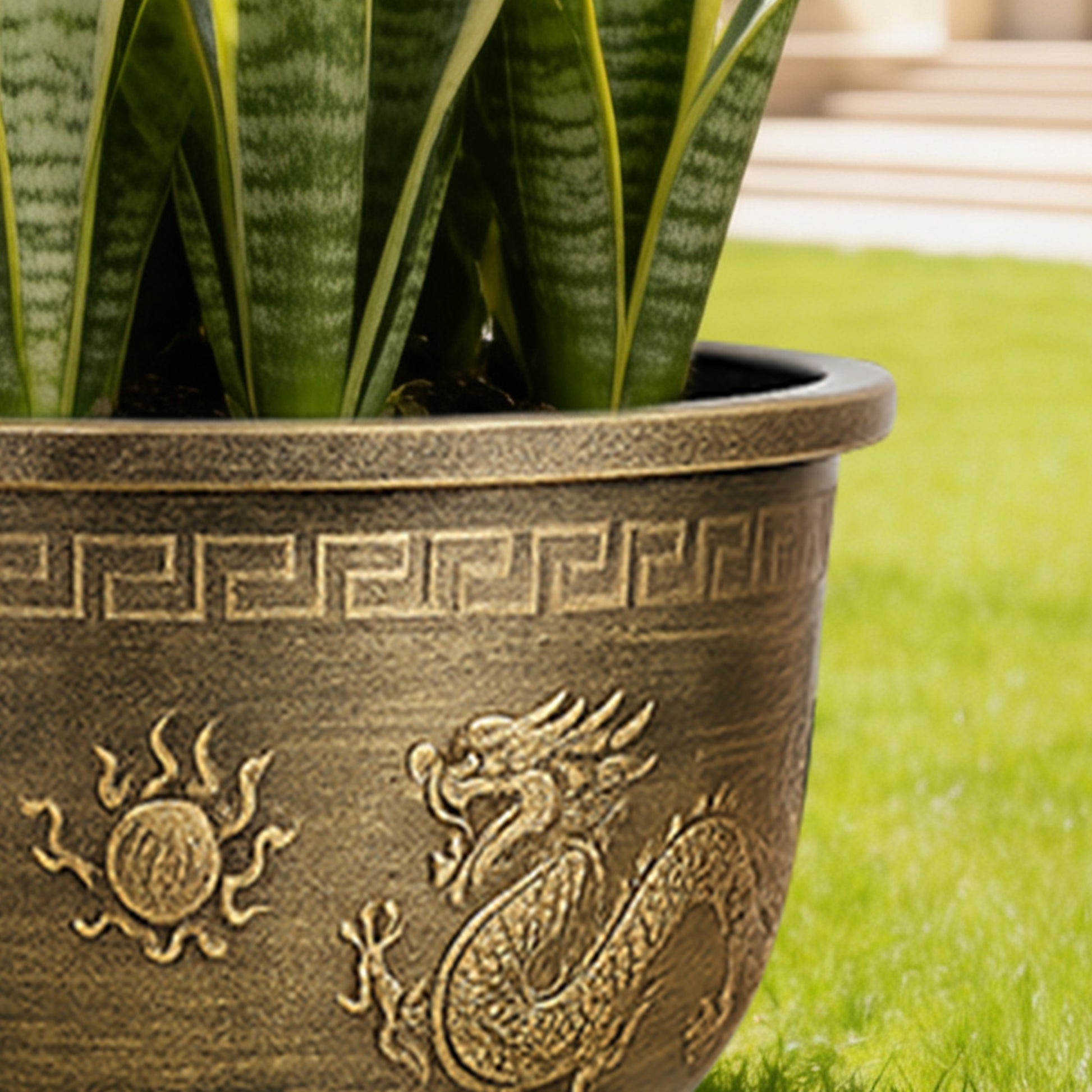 Solum Vitae 17-in 45# Terra-D Round Textured Patio Planters Variegated Snake Plant Close-up Texture Detail for Home Garden,Premium Outdoor Planters for Gardening