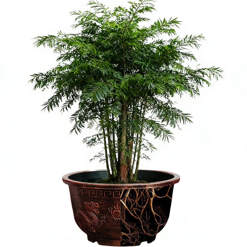 Solum Vitae 17-in 45# Terra-D Round Textured Patio Planters Taxus Roots and Soil for Full Scene,Premium Outdoor Planters for Gardening