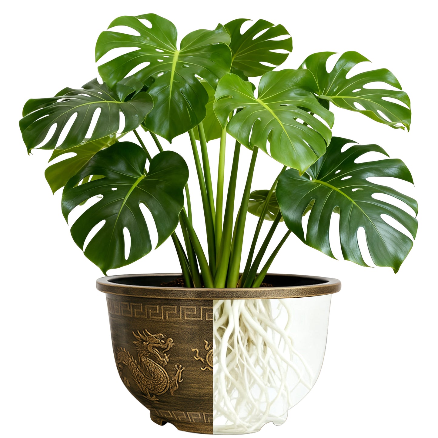 Solum Vitae 17-in 45# Terra-D Round Textured Planting Pots Swiss Cheese Plant Roots and Soil for Clean Shots,Premium Outdoor Planters for Gardening