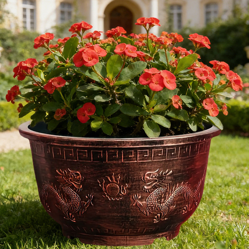 Solum Vitae 17-in 45# Terra-D Round Textured Planting Pots Crown of Thorns New Growth for Garden Sanctuary,Premium Outdoor Planters for Gardening