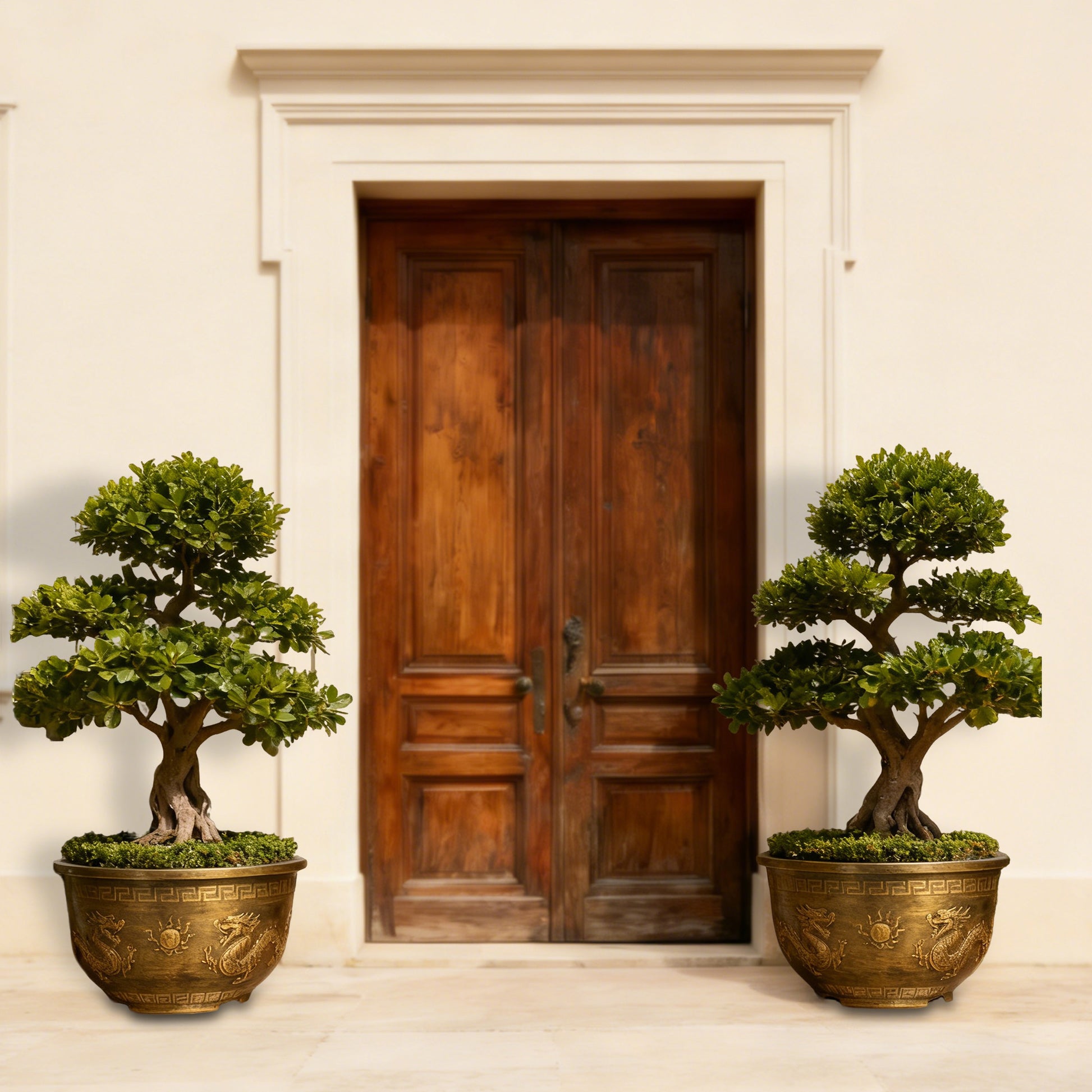 Solum Vitae 20-in 50# Terra-D Round Textured Garden Pots Banyan Bonsai Full Set Display for Entryway Welcome,Premium Outdoor Planters for Gardening