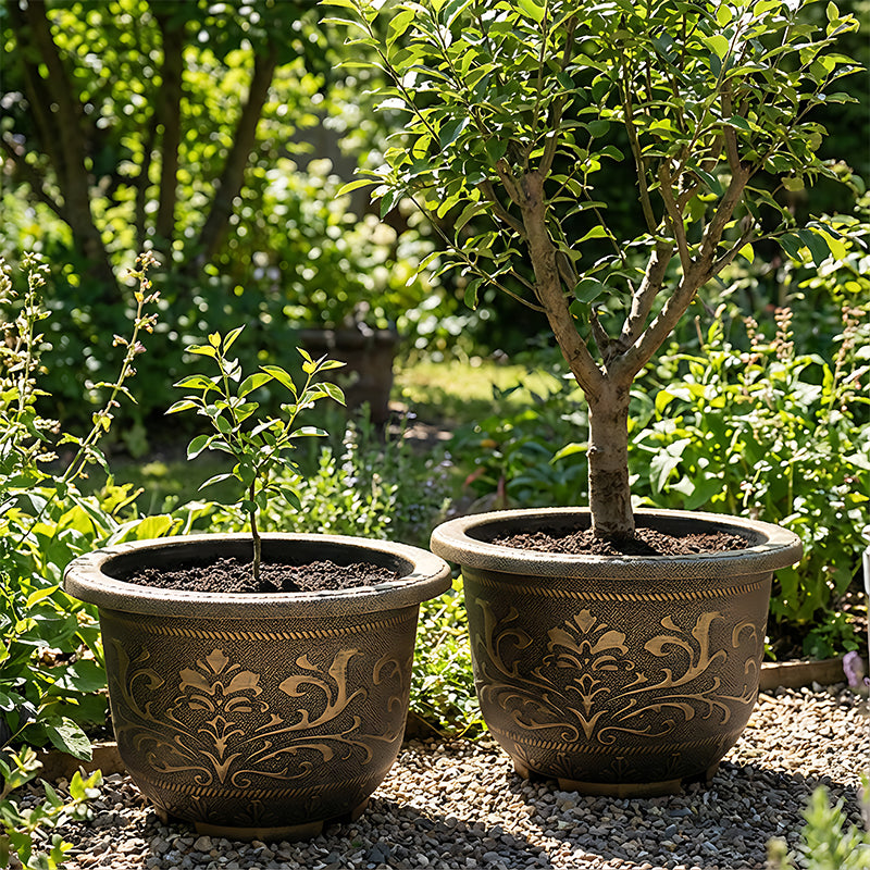 Solum Vitae 20-in 50# Terra-F Round Textured Outdoor Planters Lemon Tree Growth Shots for Backyard Garden,Premium Outdoor Planters for Gardening