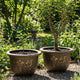 Solum Vitae 20-in 50# Terra-F Round Textured Outdoor Planters Lemon Tree Growth Shots for Backyard Garden,Premium Outdoor Planters for Gardening