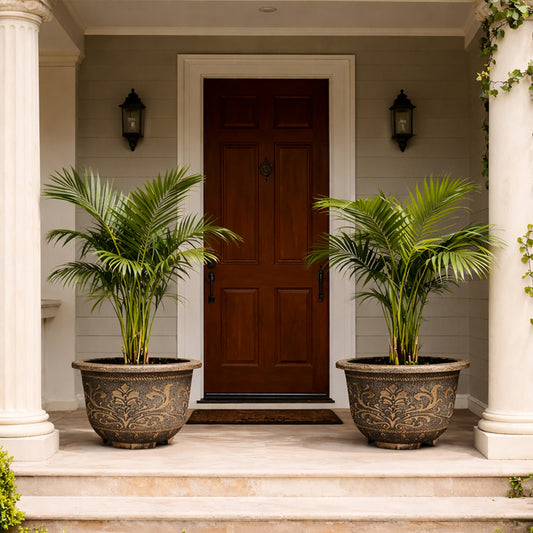 Solum Vitae 20-in 50# Terra-F Round Textured Outdoor Planters Butterfly Palm Full Set Display for Entryway Welcome,Premium Outdoor Planters for Gardening