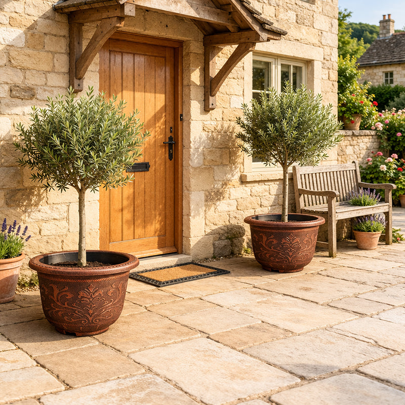 Solum Vitae 20-in 50# Terra-F Round Textured Outdoor Planters Olive Tree Front View for Entryway Welcome,Premium Outdoor Planters for Gardening