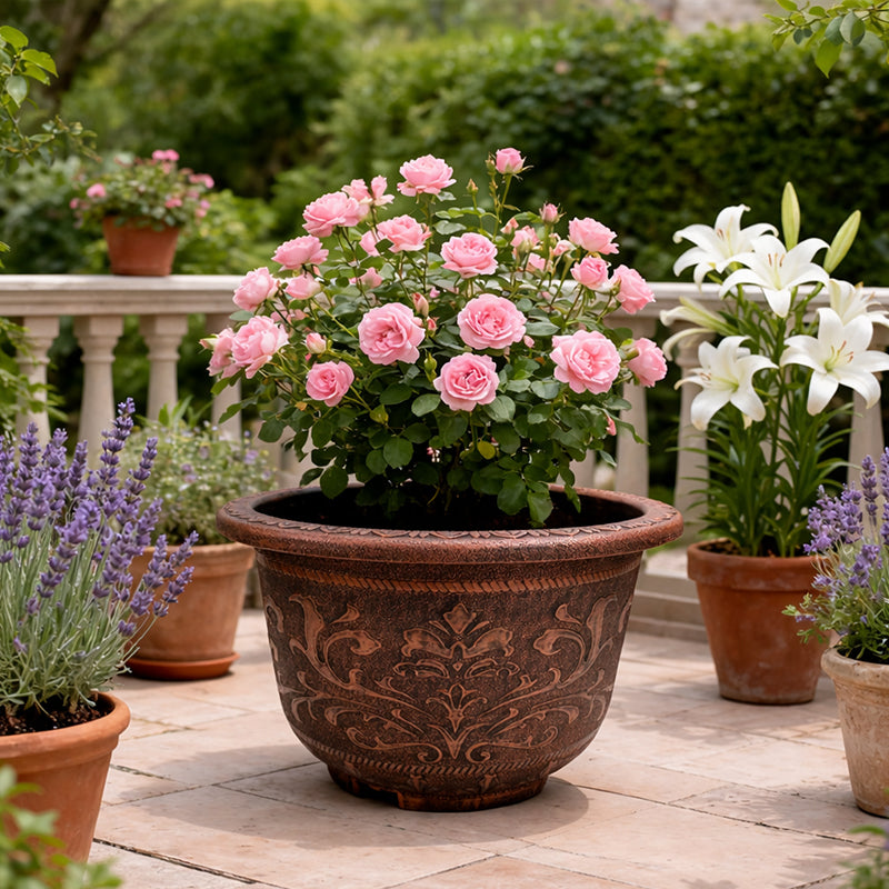 Solum Vitae 20-in 50# Terra-F Round Textured Outdoor Planters Patio Rose Front View for Home Garden,Premium Outdoor Planters for Gardening