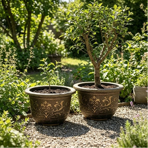 Solum Vitae 20-in 50# Terra-F Round Textured Outdoor Planters Lemon Tree Growth Shots for Backyard Garden,Premium Outdoor Planters for Gardening