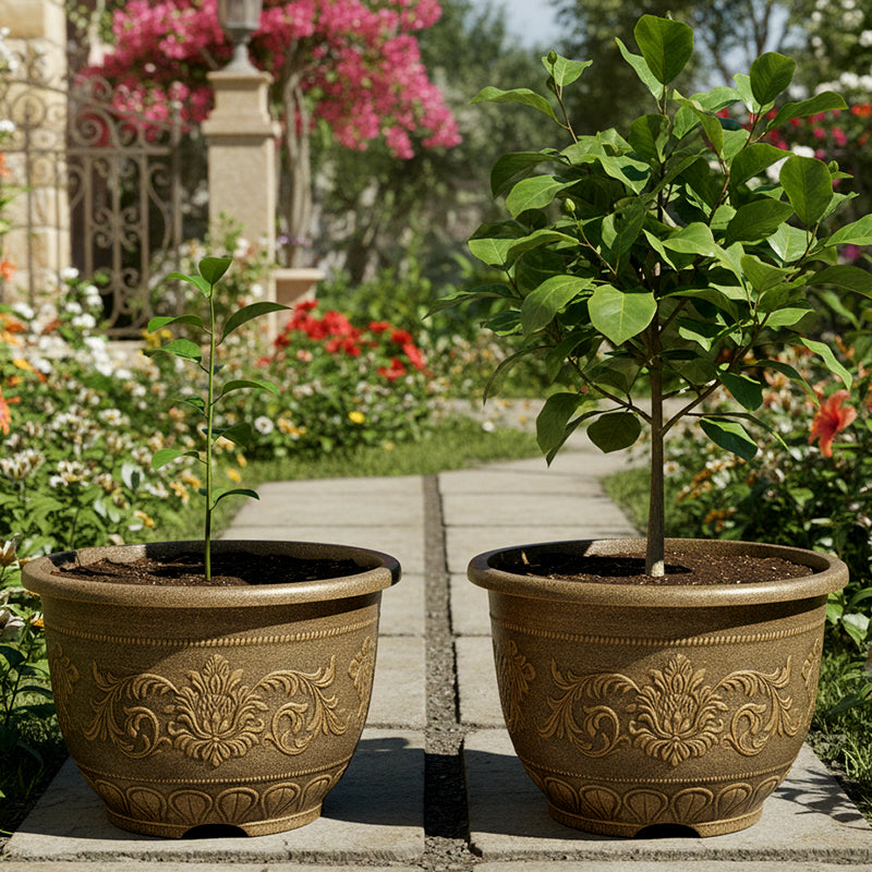 Solum Vitae 24-in 60# Terra-F Round Textured Large Planter Pots Evergreen Magnolia Growth Shots for Backyard Garden,Premium Outdoor Planters for Gardening