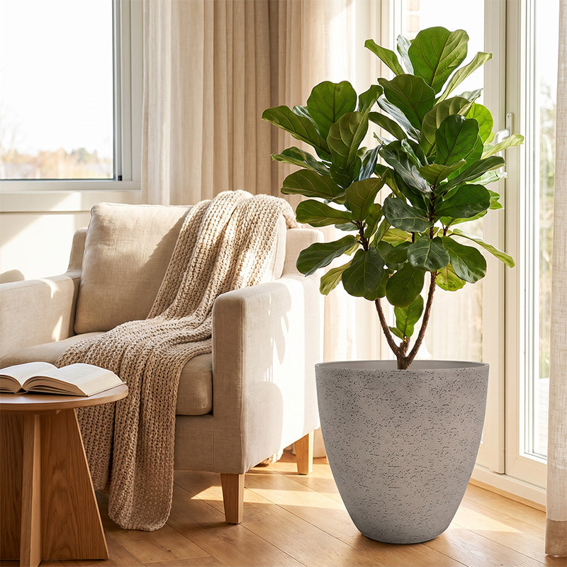 Solum Vitae 2PCS 11 Fon Microgroove  Decorative Planters and Pots Fiddle‑leaf Fig Side Profile for Reading Nook, Creamy White Premium Indoor Outdoor Planters for Gardening