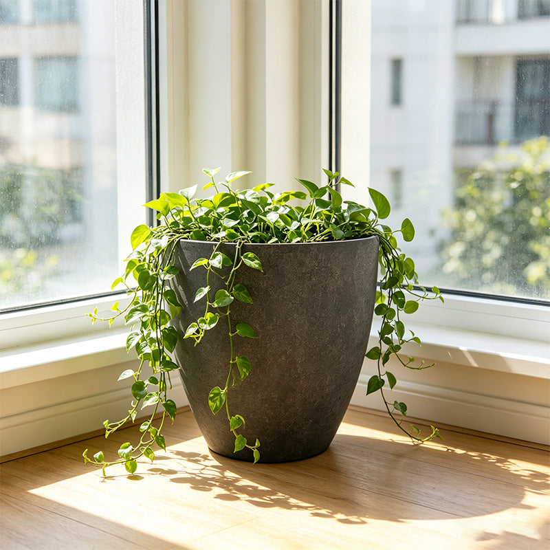 Solum Vitae 2PCS 11 Fon Microgroove  Decorative Planters and Pots Heart‑leaf Philodendron Front View for Windowsill, Grey Premium Indoor Outdoor Planters for Gardening