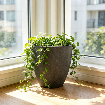 Solum Vitae 2PCS 11 Fon Microgroove  Decorative Planters and Pots Heart‑leaf Philodendron Front View for Windowsill, Grey Premium Indoor Outdoor Planters for Gardening