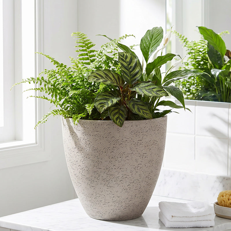 Solum Vitae 2PCS 11 Fon Microgroove  Decorative Planters and Pots Indoor Mixed Foliage Front View for Home Garden, Creamy White Premium Indoor Outdoor Planters for Gardening