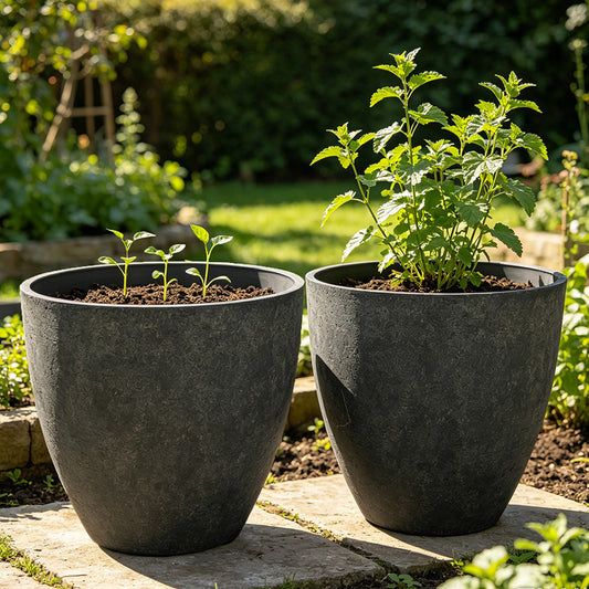 Solum Vitae 2PCS 11 Fon Microgroove  Decorative Planters and Pots Lemon Balm Growth Shots Comparison for Backyard Garden, Grey Premium Indoor Outdoor Planters for Gardening