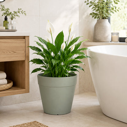 Solum Vitae 2PCS 12 Lux Wide Decorative Pots and Planters Peace Lily Side Profile for Bathroom Oasis, Light Green Premium Indoor Outdoor Planters for Gardening