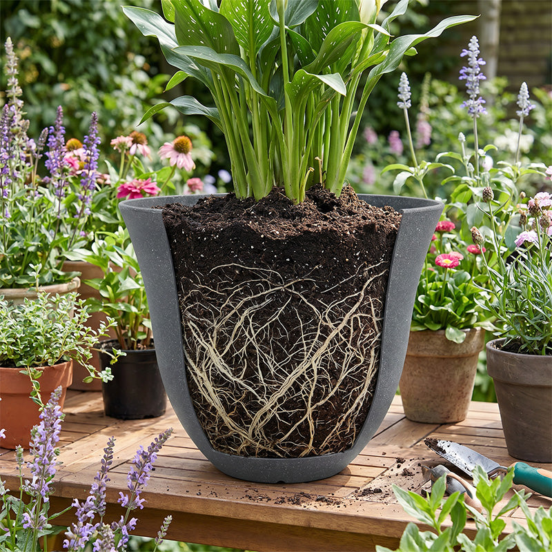 Solum Vitae 2PCS 13 Lux Bright Decorative 0utdoor Planter Pots Calla Lily Roots and Soil for Patio Table, Silver Grey Premium Indoor Outdoor Planters for Gardening