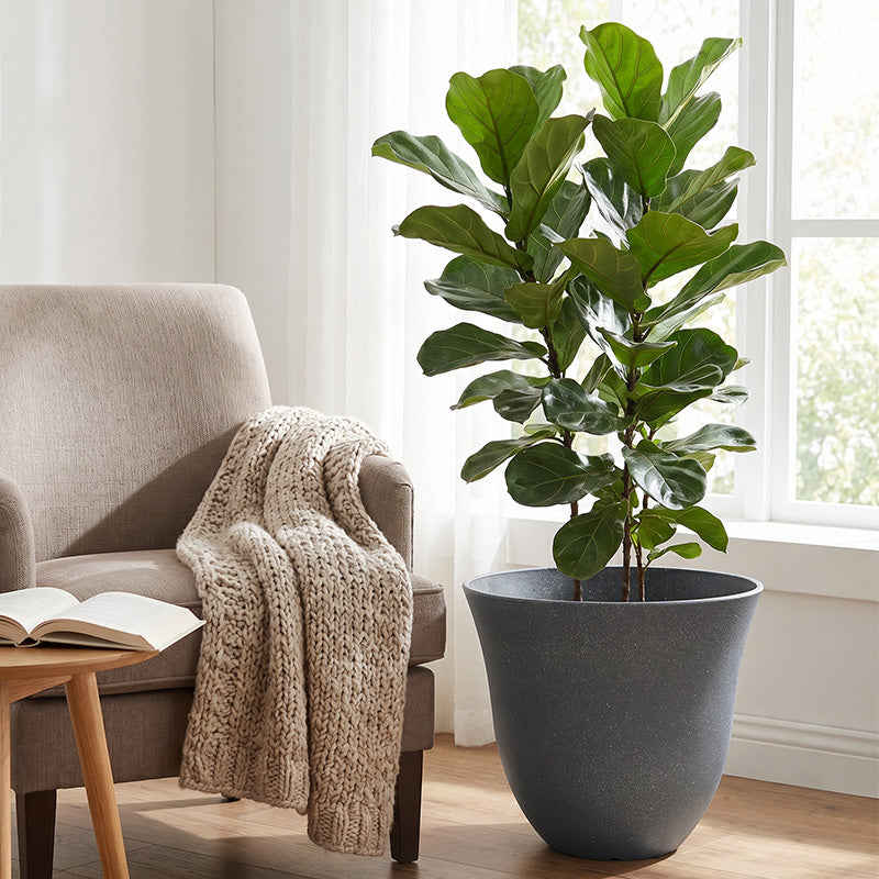 Solum Vitae 2PCS 13 Lux Bright Decorative 0utdoor Planter Pots Fiddle‑leaf Fig Side Profile for Reading Nook, Silver Grey Premium Indoor Outdoor Planters for Gardening