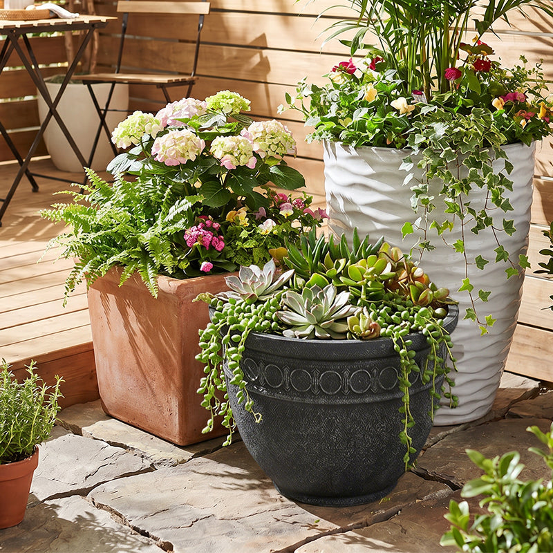 Solum Vitae 2PCS 14 Fon Iron Ring Decorative Outdoor Pots for Plants Echeveria Front View for Courtyard, Premium Indoor Outdoor Planters for Gardening