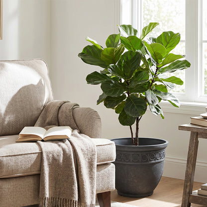 Solum Vitae 2PCS 14 Fon Iron Ring Decorative Outdoor Pots for Plants Fiddle‑leaf Fig  Side Profile for Living Room, Premium Indoor Outdoor Planters for Gardening