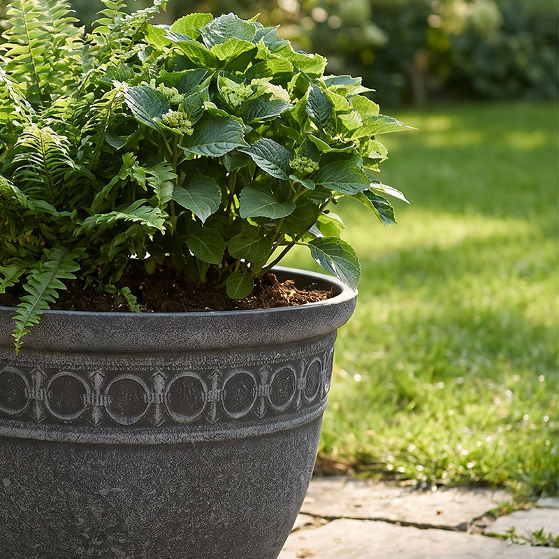 Solum Vitae 2PCS 14 Fon Iron Ring Decorative Outdoor Pots for Plants Hydrangea Close-up Texture Detail for Garden Sanctuary, Premium Indoor Outdoor Planters for Gardening