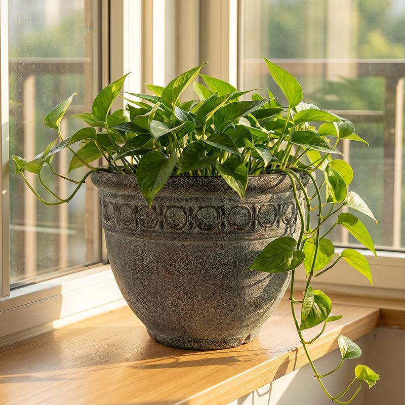 Solum Vitae 2PCS 14 Fon Iron Ring Decorative Outdoor Pots for Plants Pothos Clean Shots for Windowsill, Retro Aerugo Premium Indoor Outdoor Planters for Gardening