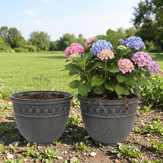 Solum Vitae 2PCS 14 Fon Iron Ring Decorative Outdoor Pots for Plants Seedling vs Mature Flowering Shrub Full Set Display for Outdoor Garden, Premium Indoor Outdoor Planters for Gardening