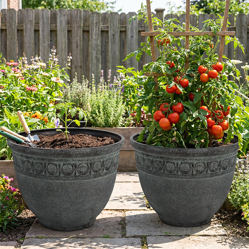 Solum Vitae 2PCS 14 Fon Iron Ring Decorative Outdoor Pots for Plants Tomato Seedling Growth Shots Comparison for Garden Sanctuary, Retro Aerugo Premium Indoor Outdoor Planters for Gardening