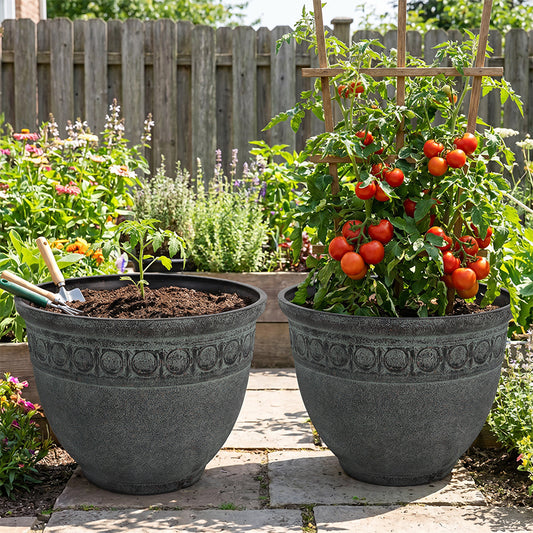 Solum Vitae 2PCS 14 Fon Iron Ring Decorative Outdoor Pots for Plants Tomato Seedling Growth Shots Comparison for Garden Sanctuary, Retro Aerugo Premium Indoor Outdoor Planters for Gardening