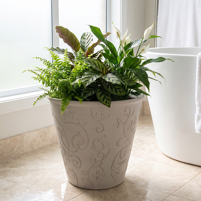 Solum Vitae 2PCS 15 Fon Arabesque Decorative Big Planters Shade‑loving Mixed Top-down Shot for Bathroom Oasis, Premium Indoor Outdoor Planters for Gardening