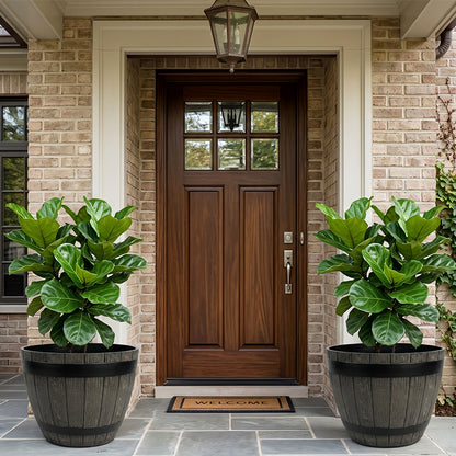 Solum Vitae 2PCS 15 Fon Barrel Decorative Outdoor Pot Fiddle‑leaf Fig Full Set Display for Entryway Welcome, Premium Indoor Outdoor Planters for Gardening