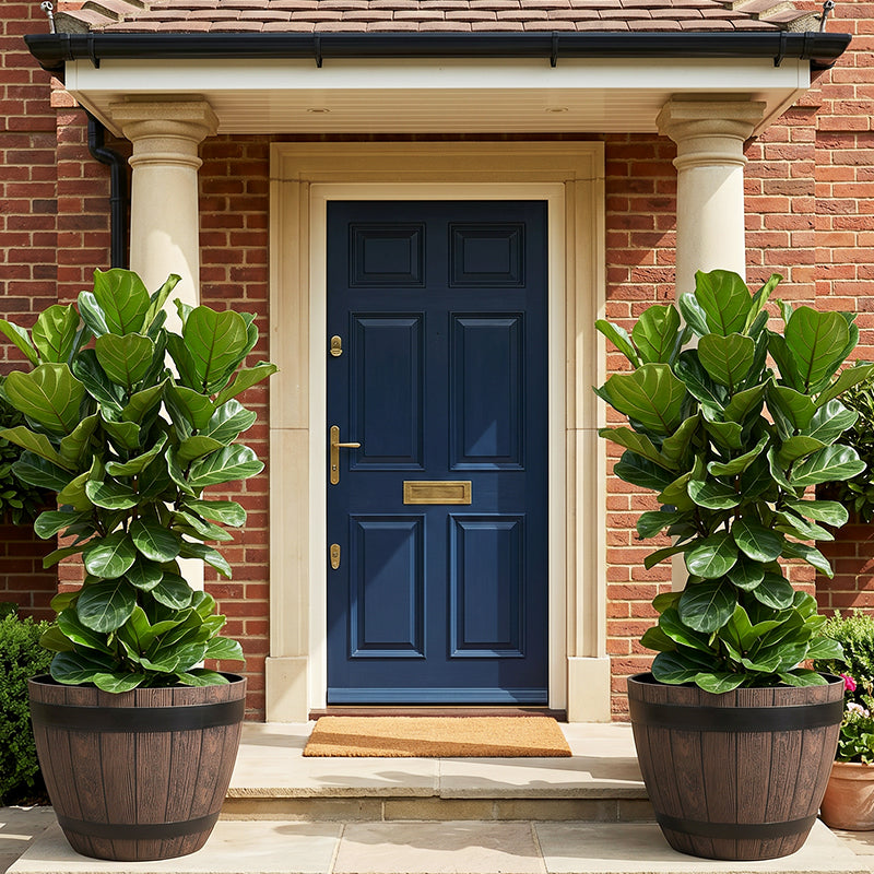 Solum Vitae 2PCS 15 Fon Barrel Decorative Outdoor Pot Fiddle‑leaf Fig Growth Shots for Home Garden, Premium Indoor Outdoor Planters for Gardening