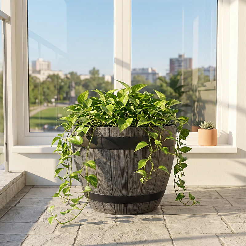 Solum Vitae 2PCS 15 Fon Barrel Decorative Outdoor Pot Golden Pothos Side Profile for Windowsill, Premium Indoor Outdoor Planters for Gardening