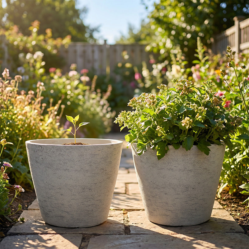 Solum Vitae 2PCS 15 Fon Stone Pattern Decorative Outdoor Pots and Planters Dahlia Growth Shots Comparison for Garden Sanctuary, Premium Indoor Outdoor Planters for Gardening