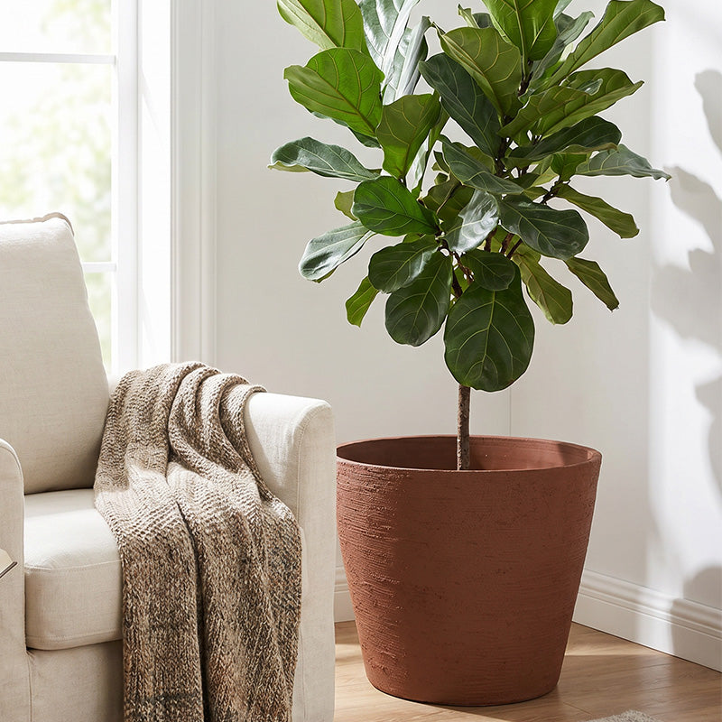Solum Vitae 2PCS 15 Fon Stone Pattern Decorative Outdoor Pots and Planters Fiddle‑leaf Fig Close-up Texture Detail for Reading Nook, Premium Indoor Outdoor Planters for Gardening