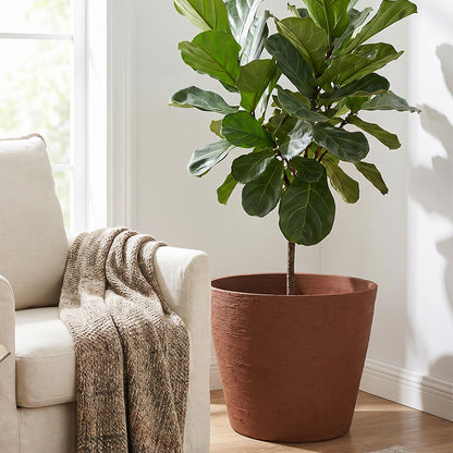 Solum Vitae 2PCS 15 Fon Stone Pattern Decorative Outdoor Pots and Planters Fiddle‑leaf Fig Close-up Texture Detail for Reading Nook, Premium Indoor Outdoor Planters for Gardening