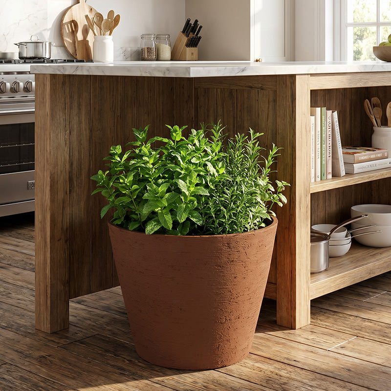 Solum Vitae 2PCS 15 Fon Stone Pattern Decorative Outdoor Pots and Planters Mint Growth Shots for Kitchen Herb Garden, Premium Indoor Outdoor Planters for Gardening
