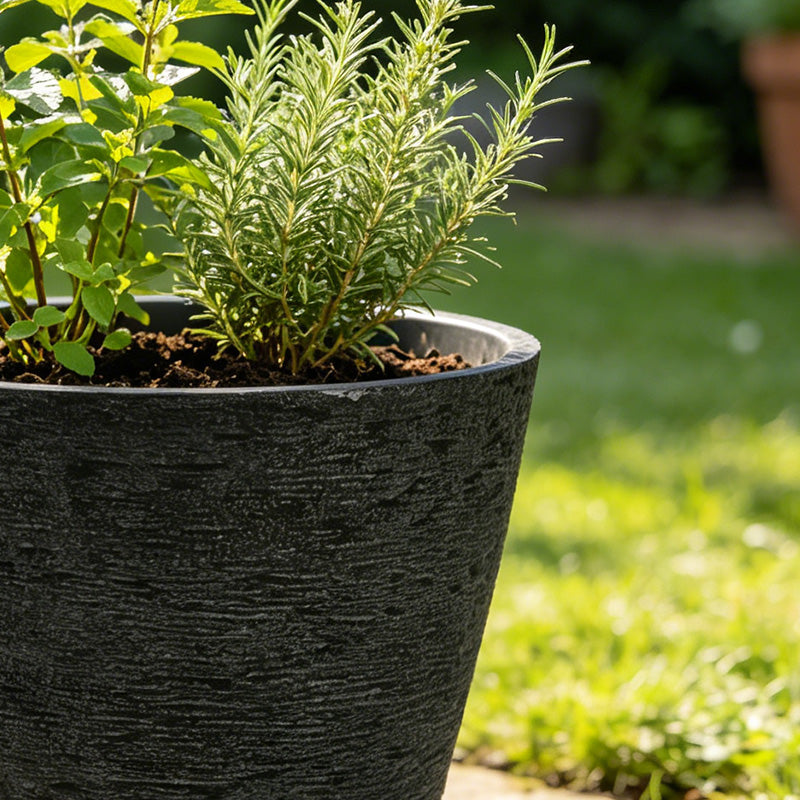 Solum Vitae 2PCS 15 Fon Stone Pattern Decorative Outdoor Pots and Planters Mint & Rosemary HerbTextural Close-Ups for Courtyard, Grey Premium Indoor Outdoor Planters for Gardening
