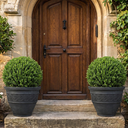 Solum Vitae 2PCS 16 Fon Heart Decorative Plant Pots Boxwood Full Set Display for Entryway Welcome, Premium Indoor Outdoor Planters for Gardening