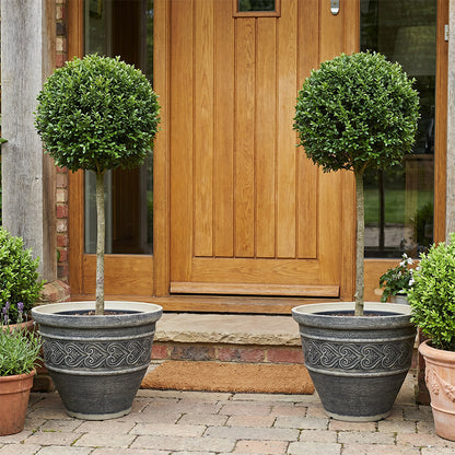 Solum Vitae 2PCS 16 Fon Heart Decorative Plant Pots Buxus StandardFull Set Display for Entryway Welcome, Premium Indoor Outdoor Planters for Gardening