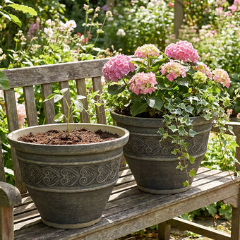 Solum Vitae 2PCS 16 Fon Heart Decorative Plant Pots Hydrangea Macrophylla Growth Shots Comparison for Outdoor Bench, Premium Indoor Outdoor Planters for Gardening