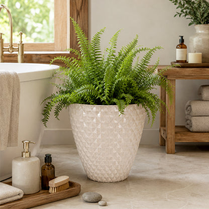 Solum Vitae 2PCS 16 Lux Rhombus Decorative Patio Pots Boston Fern Clean Shots for Bathroom Oasis, White Premium Indoor Outdoor Planters for Gardening