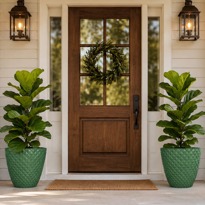 Solum Vitae 2PCS 16 Lux Rhombus Decorative Patio Pots Fiddle‑leaf Fig Full Set Display for Entryway Welcome, Green Premium Indoor Outdoor Planters for Gardening
