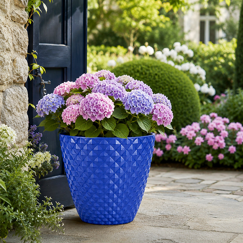 Solum Vitae 2PCS 16 Lux Rhombus Decorative Patio Pots Hydrangea MacrophyllaClose-up Texture Detail for Outdoor Garden, Blue Premium Indoor Outdoor Planters for Gardening