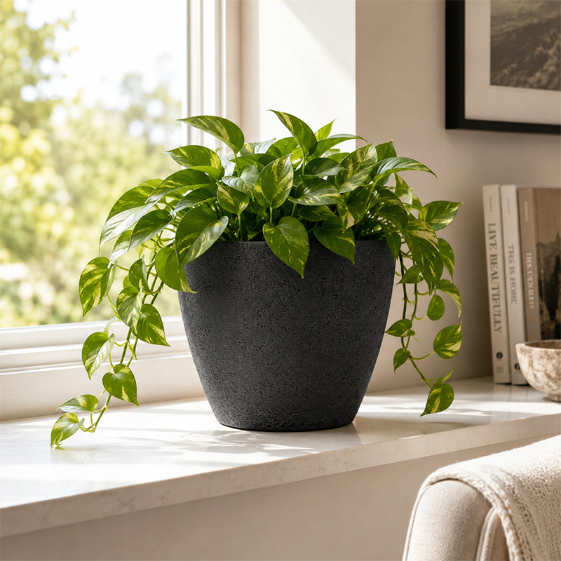 Solum Vitae 2PCS 9 Fon Stone Pattern Decorative Garden Vessel Golden Pothos Front View for Windowsill, Grey Premium Indoor Outdoor Planters for Gardening