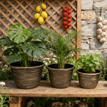 Solum Vitae Fon Classic Round Textured Flower Pots Monstera Deliciosa Size Comparison for Courtyard ,Premium Plant Pots for Gardening