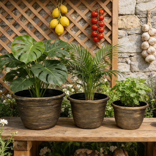 Solum Vitae Fon Classic Round Textured Flower Pots Monstera Deliciosa Size Comparison for Courtyard ,Premium Plant Pots for Gardening