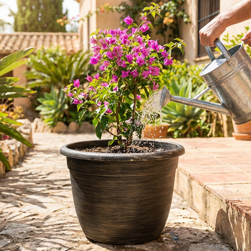 Solum Vitae Fon Classic Round Textured Flower Pots Bougainvillea Speetabilis Top-down Shot for Outdoor Garden,Premium Plant Pots for Gardening