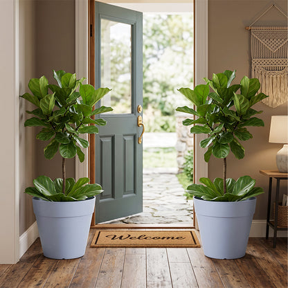 Solum Vitae 2PCS 12 Lux Wide Decorative Pots and Planters Fiddle‑leaf Fig Full Set Display for Entryway Welcome, Blue Premium Indoor Outdoor Planters for Gardening