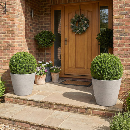 Solum Vitae 2PCS 15 Fon Stone Pattern Decorative Outdoor Pots and Planters Boxwood Ball Full Set Display for Entryway Welcome, White Premium Indoor Outdoor Planters for Gardening